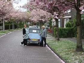 IMG_1961.JPG