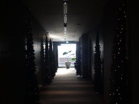 IMG_4126.JPG