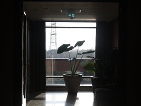 IMG_4131.JPG
